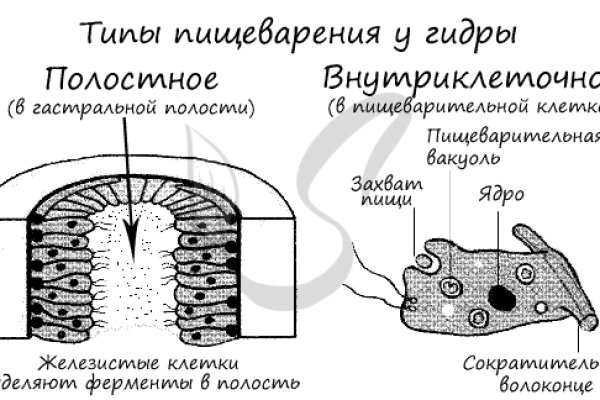 Кракен маркетплейс актуальные ссылки