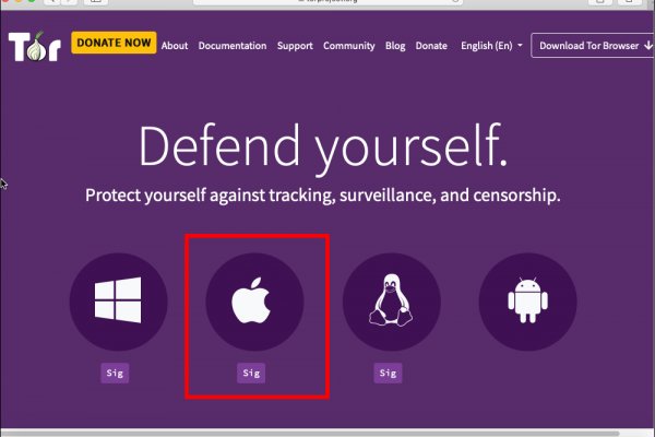 Darknet как войти
