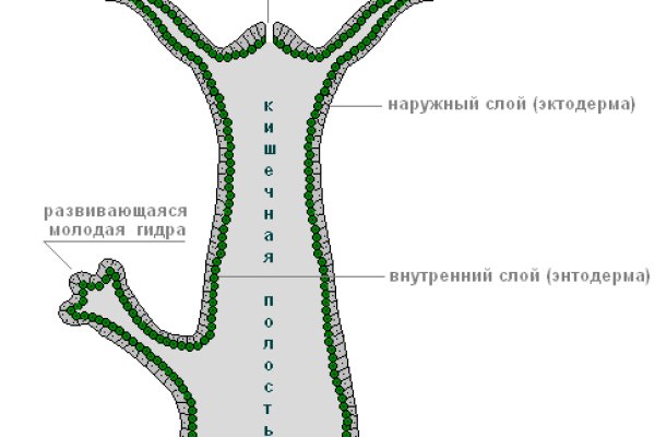 Кракен маркетплейс в москве